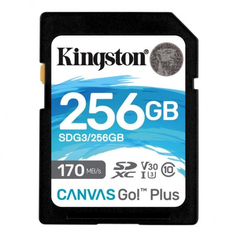 Karta pamięci KINGSTON 256 GB Karta pamięci KINGSTON 256 GB