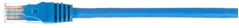 NETRACK CAT6 UTP 0.5 m Niebieski 0.5 Patchcord NETRACK CAT6 UTP 0.5 m Niebieski 0.5 Patchcord