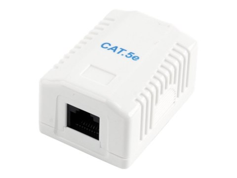 Gniazdo sieciowe CAT5E UTP single port Gniazdo sieciowe CAT5E UTP single port