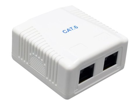 Gniazdo sieciowe CAT6 UTP 2 port Gniazdo sieciowe CAT6 UTP 2 port