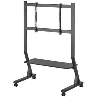 ICA-TR325